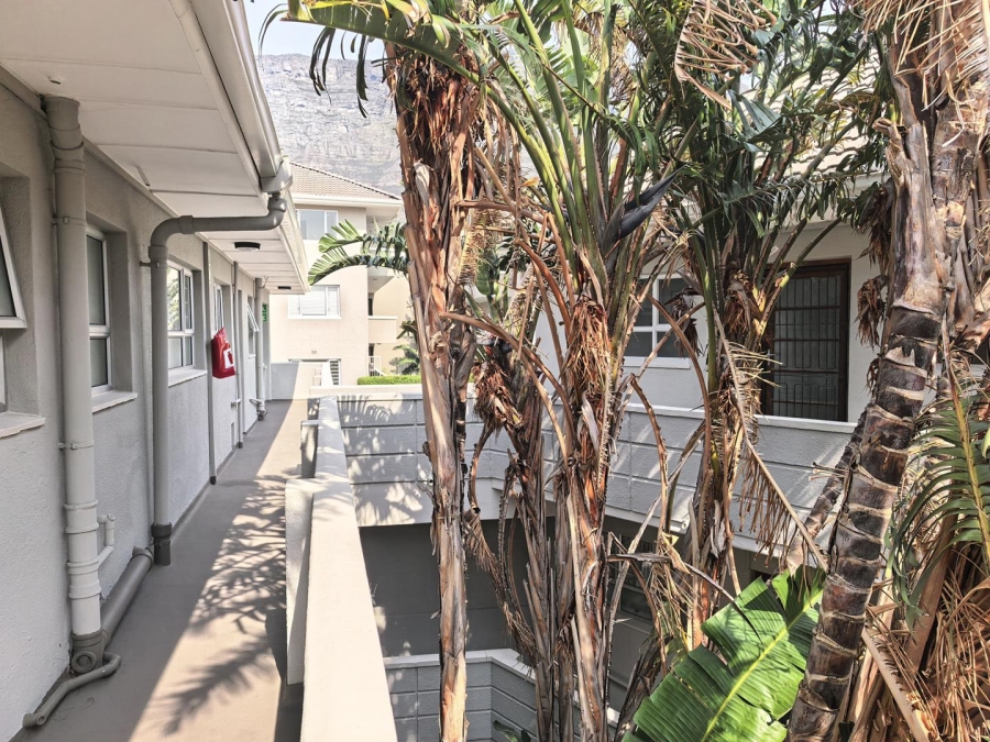 To Let 0 Bedroom Property for Rent in Oranjezicht Western Cape